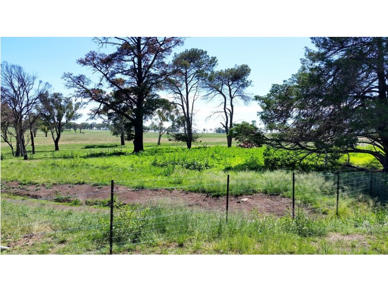 Lot 1 Arding Road, Invergowrie NSW 2350