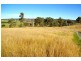 Lot 1 Mihi Road, Uralla NSW 2358
