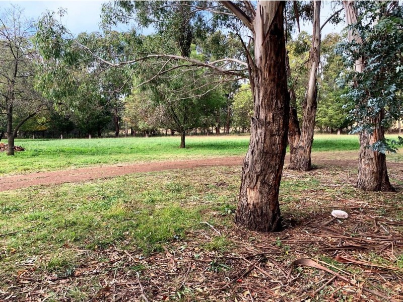 357 Rocky River Road, Uralla NSW 2358