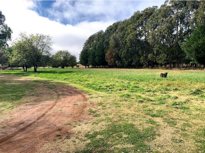 357 Rocky River Road, Uralla NSW 2358