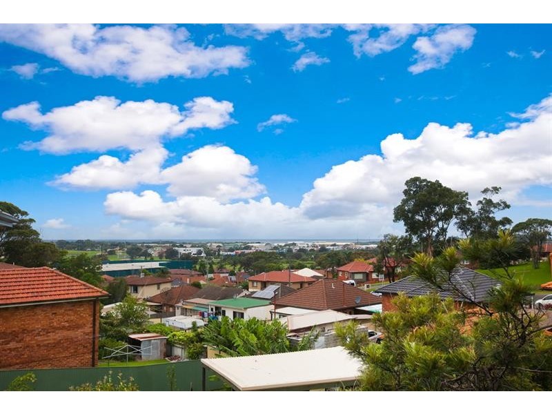 57 Greene St, Warrawong NSW 2502