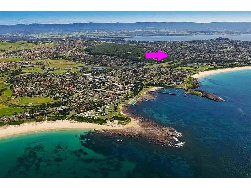 1 Blue Gum Pl, Barrack Heights NSW 2528