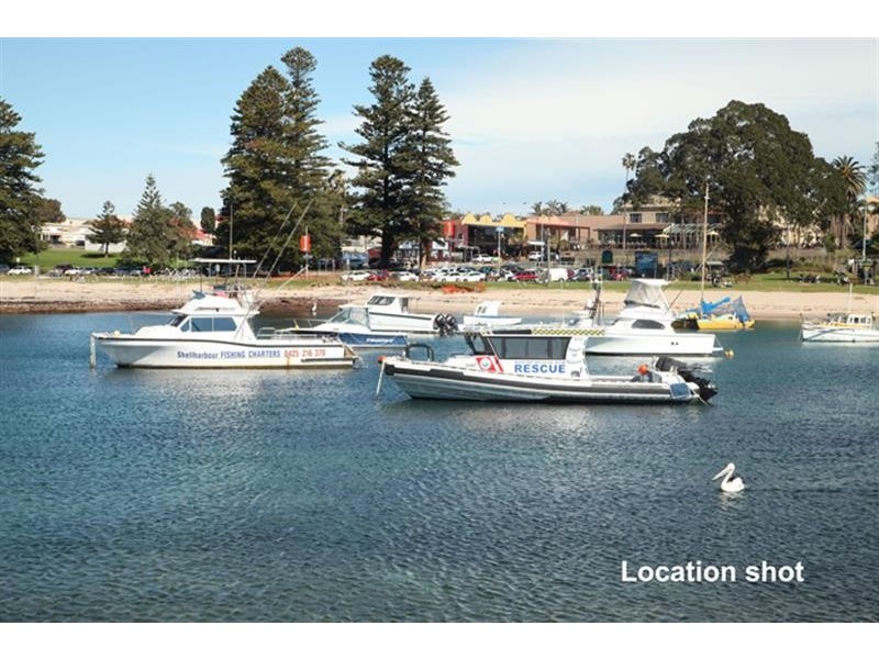 1 Blue Gum Pl, Barrack Heights NSW 2528