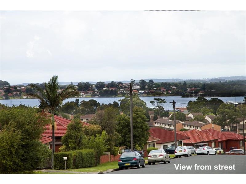 52 Minnegang  St, Warrawong NSW 2502