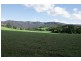 2/48 Yellow Rock  Rd, Tullimbar NSW 2527