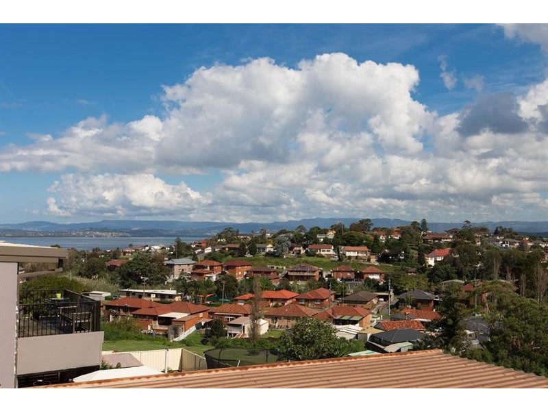 52 Minnegang St, Warrawong NSW 2502