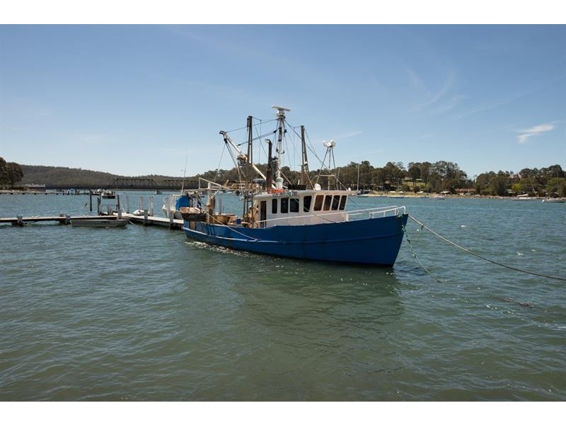 54 Heron Road, Catalina NSW 2536