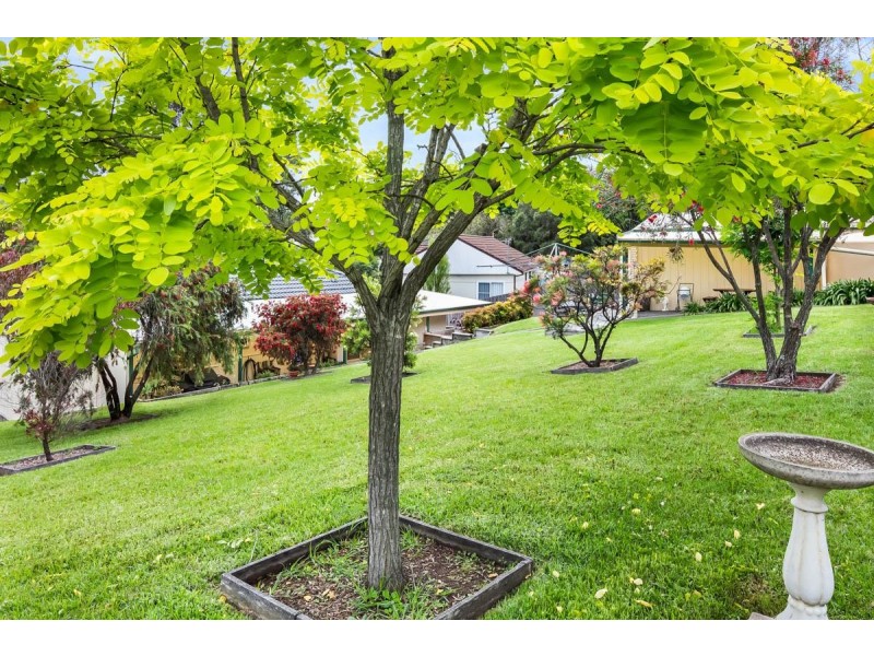 3 Leicester Street, Berkeley NSW 2506