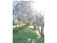 2794 Big Jack Mountain Rd, Rocky Hall NSW 2550