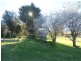 2794 Big Jack Mountain Rd, Rocky Hall NSW 2550