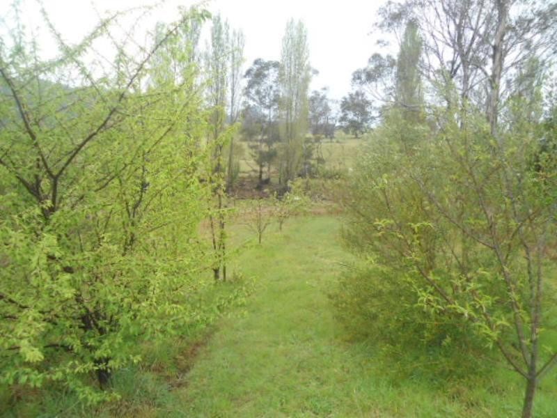 2794 Big Jack Mountain Rd, Rocky Hall NSW 2550