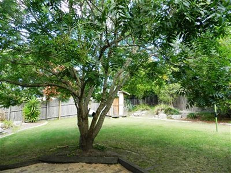 18 Lloyd St, South Pambula NSW 2549