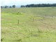 Lot 6 Fairview  Lane, Candelo NSW 2550
