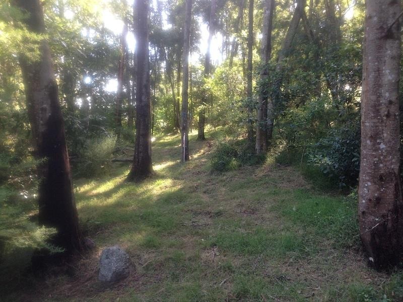 Lot 5 Correa Cl, Millingandi NSW 2549