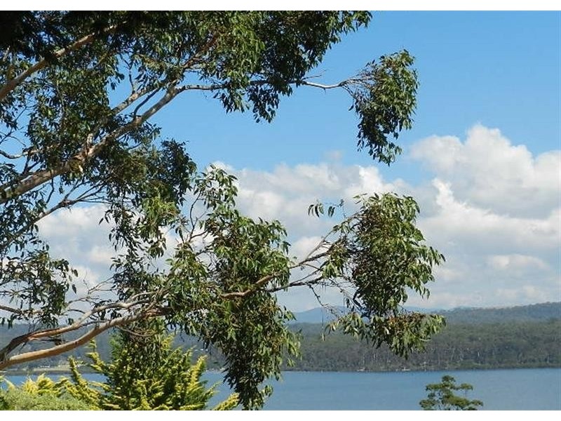 12 Trevally Tce, Merimbula NSW 2548