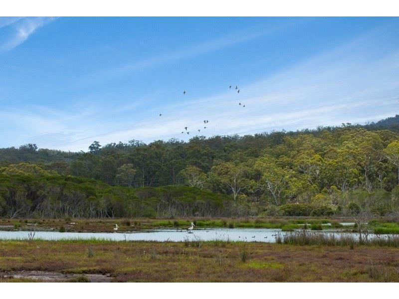 Lot 722 Princes Hwy, Millingandi NSW 2549