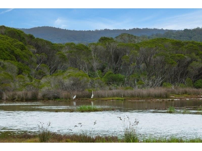 Lot 722 Princes Hwy, Millingandi NSW 2549
