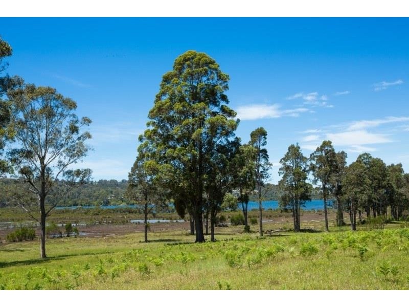 Lot 722 Princes Hwy, Millingandi NSW 2549