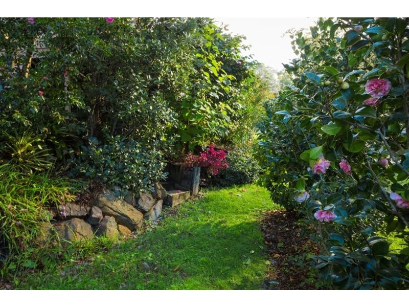 1 Beverley St, Merimbula NSW 2548