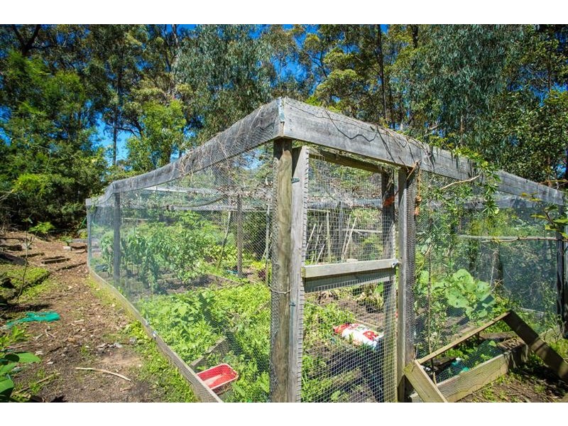 37 Bald Hills Rd, Bald Hills NSW 2549