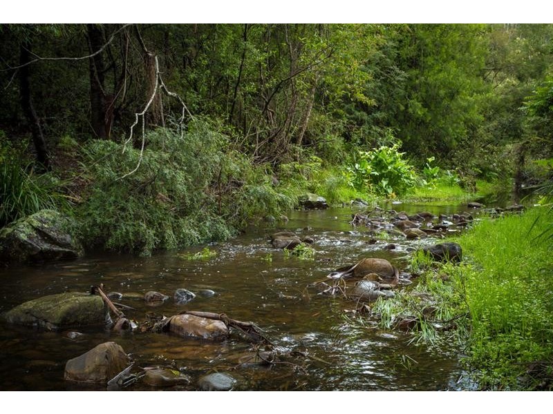 311 Milligandi Rd, Millingandi NSW 2549