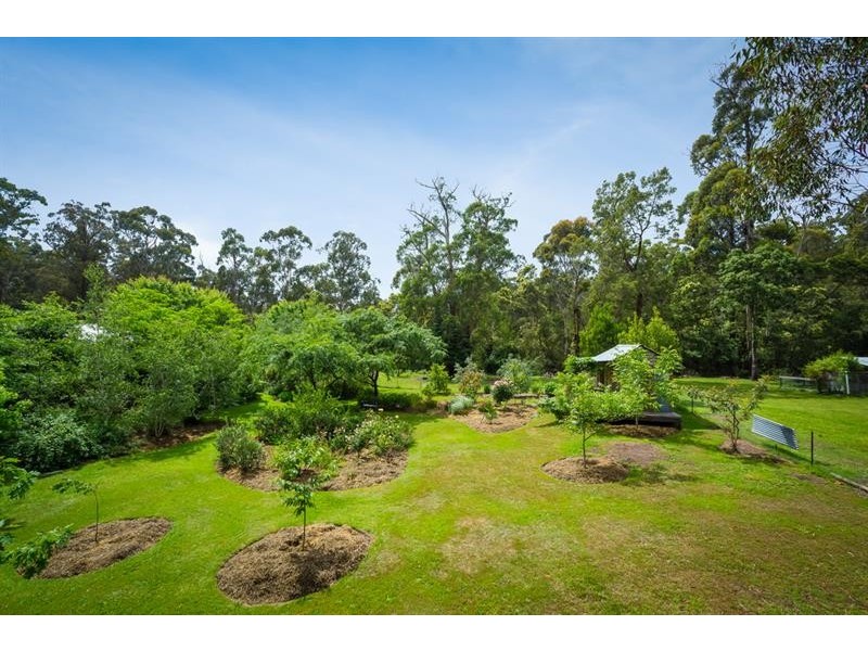 311 Milligandi Rd, Millingandi NSW 2549