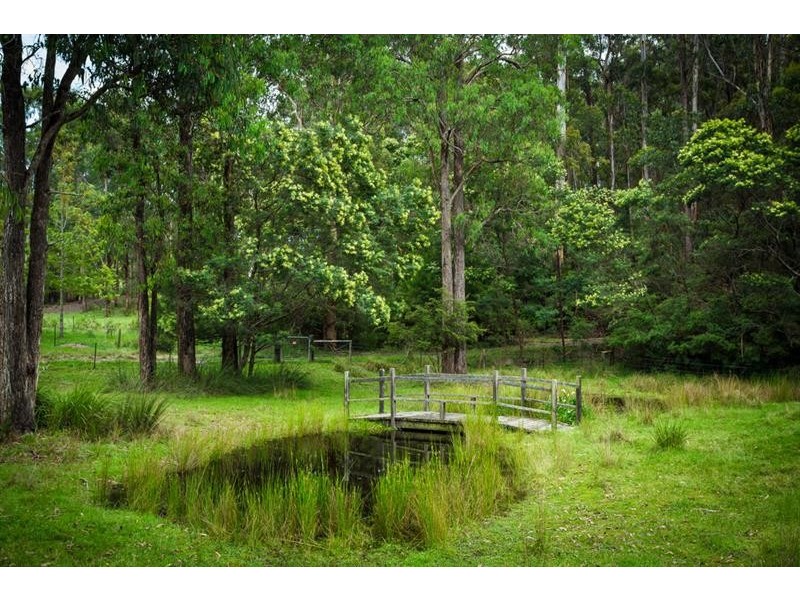 311 Milligandi Rd, Millingandi NSW 2549