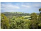 121 Bald Hills Rd, Bald Hills NSW 2549