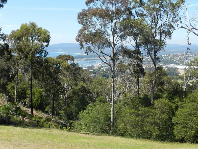 24 Camilla  Ct, Mirador NSW 2548