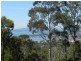 24 Camilla  Ct, Mirador NSW 2548