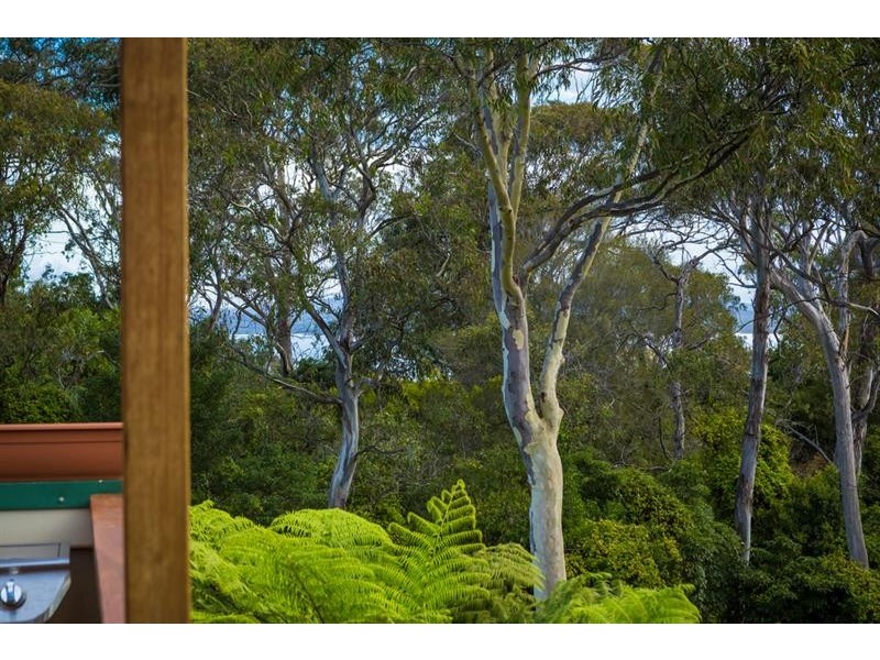 8 Collins St, Merimbula NSW 2548