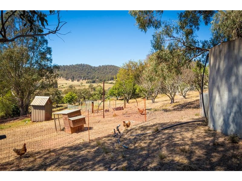 19 East Cochranes Rd, South Wolumla NSW 2550