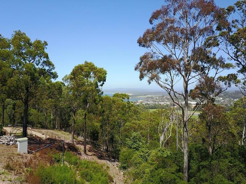 24 Camilla Ct, Mirador NSW 2548