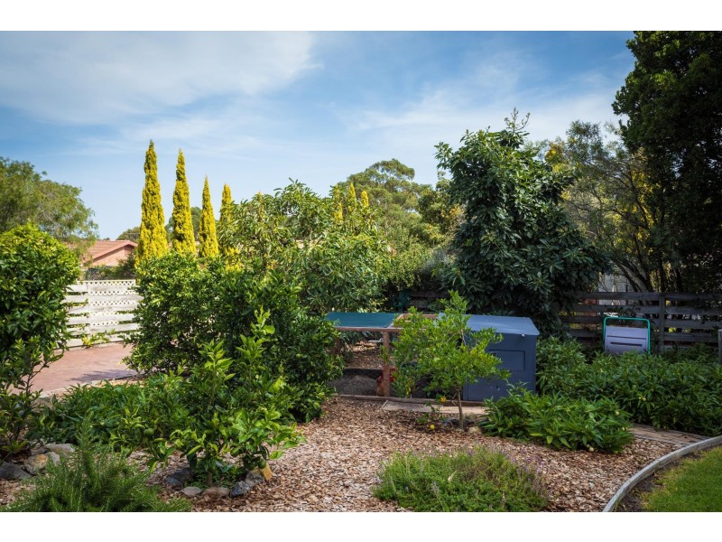 71 Surf  Cir, Tura Beach NSW 2548