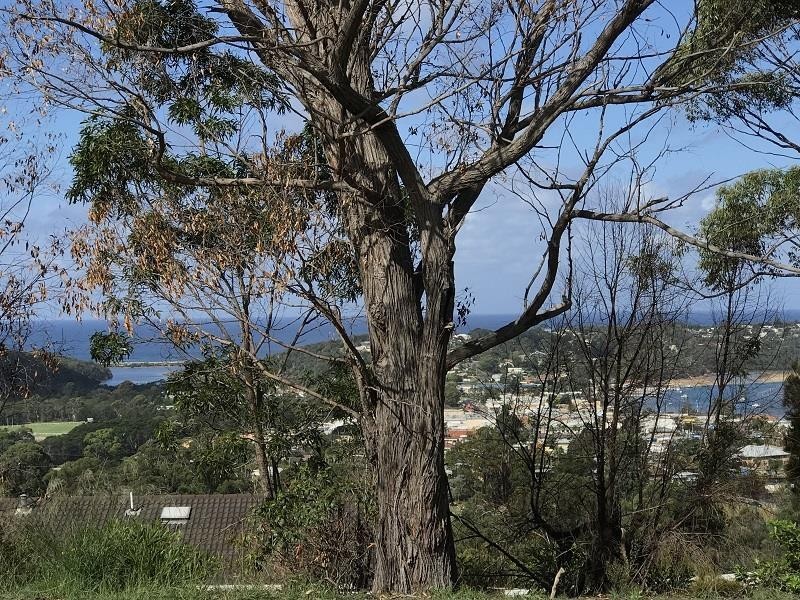 68 Merimbula Drive, Merimbula NSW 2548