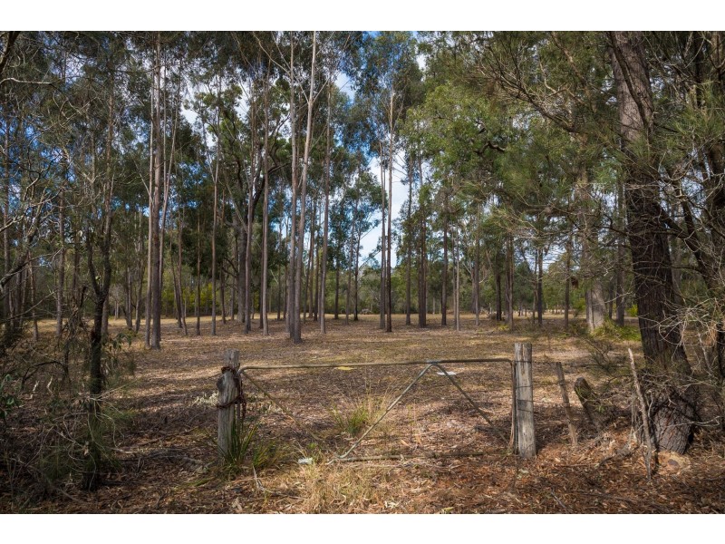 130 Bournda  Road, Wallagoot NSW 2550