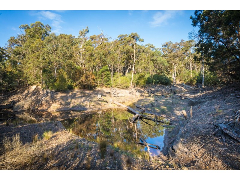 Lot 4/130 Bournda  Road, Wallagoot NSW 2550