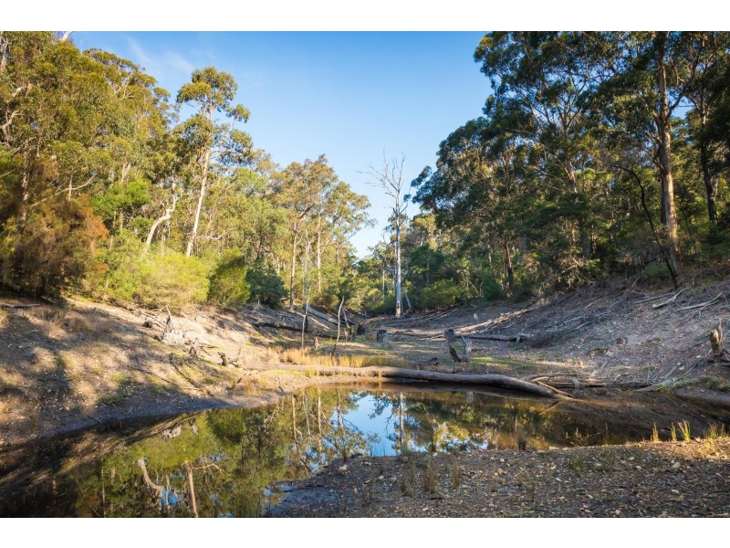 Lot 4/130 Bournda  Road, Wallagoot NSW 2550