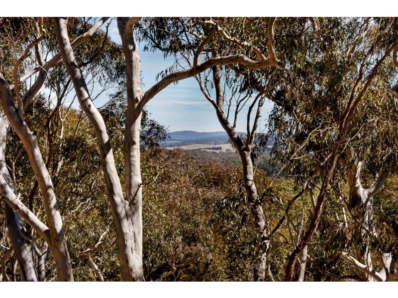 65 Mulwaree Dr, Tallong NSW 2579