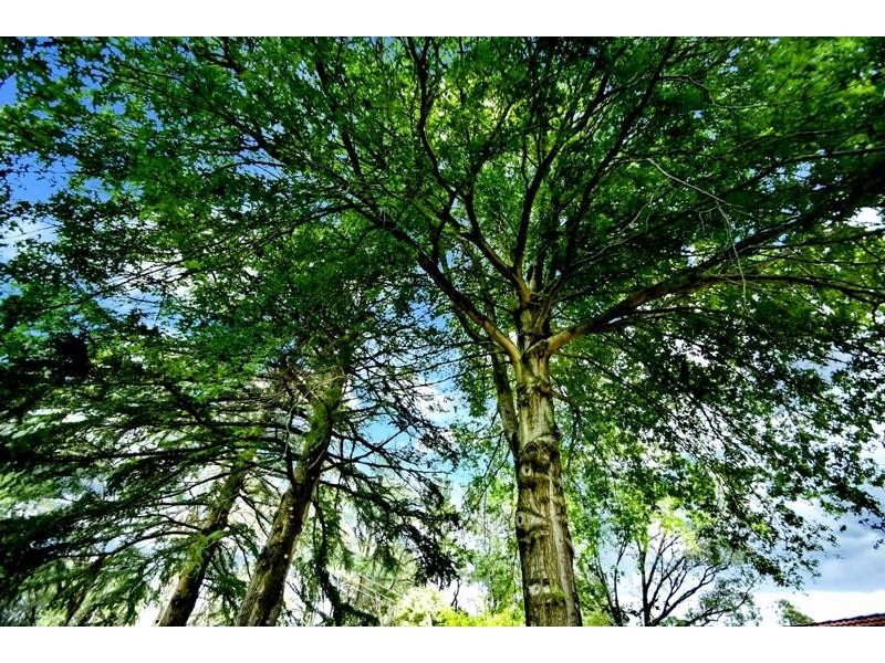 16 Ferndale Rd, Bundanoon NSW 2578