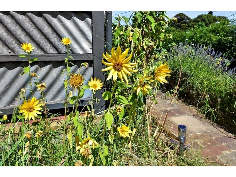 35 Railway Pde, Wingello NSW 2579