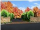 Lot 8 Rochester Est, Bundanoon NSW 2578