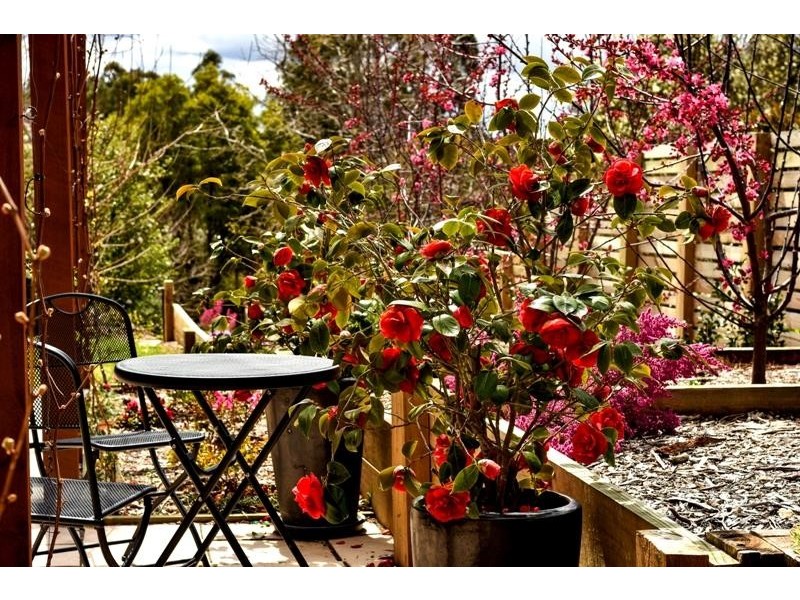 26 Ashgrove Place, Bundanoon NSW 2578