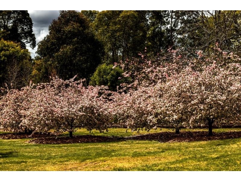 26 Ashgrove Place, Bundanoon NSW 2578