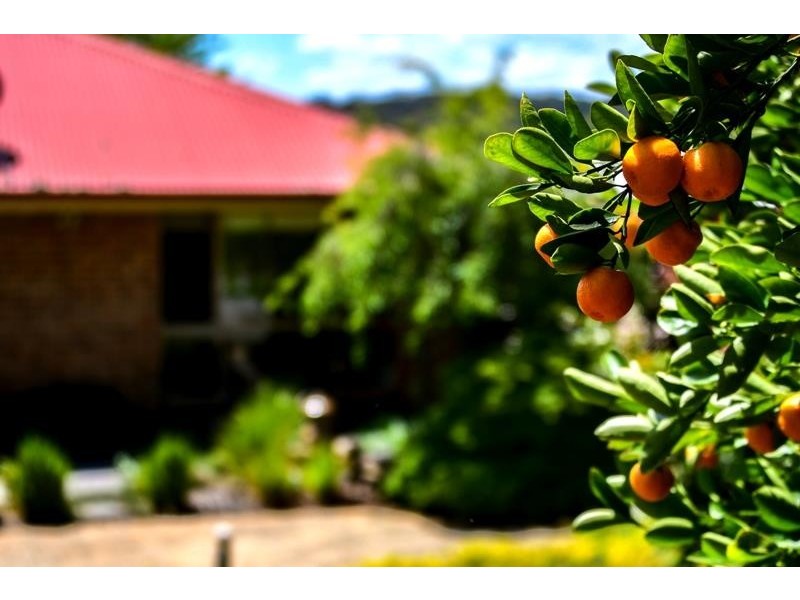 29A Birriga Avenue, Bundanoon NSW 2578