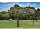 181 Penrose Road, Bundanoon NSW 2578