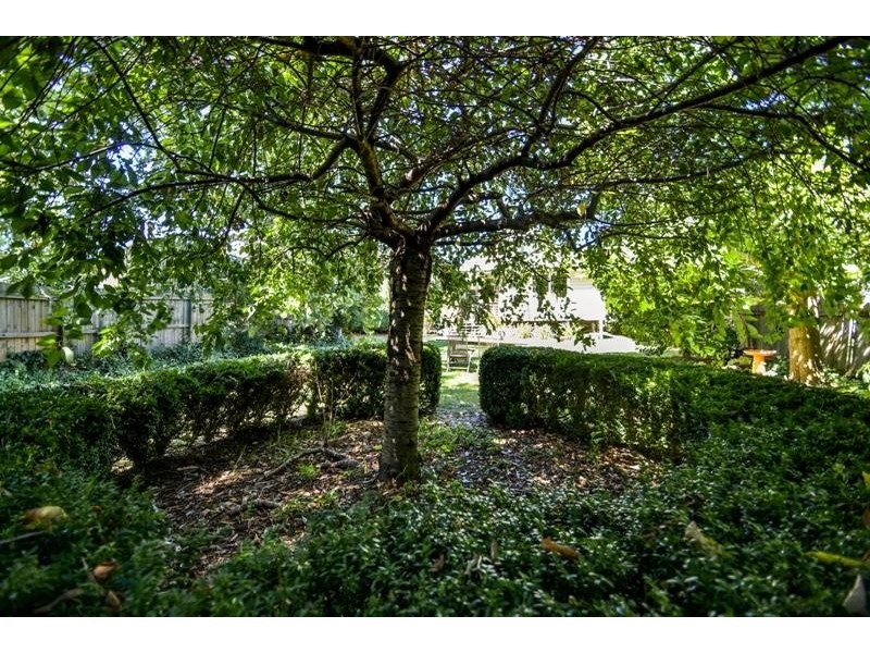 15 Ebury Street, Bundanoon NSW 2578