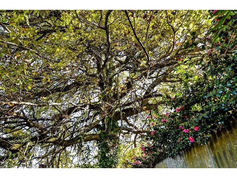 57 Penrose Road, Bundanoon NSW 2578