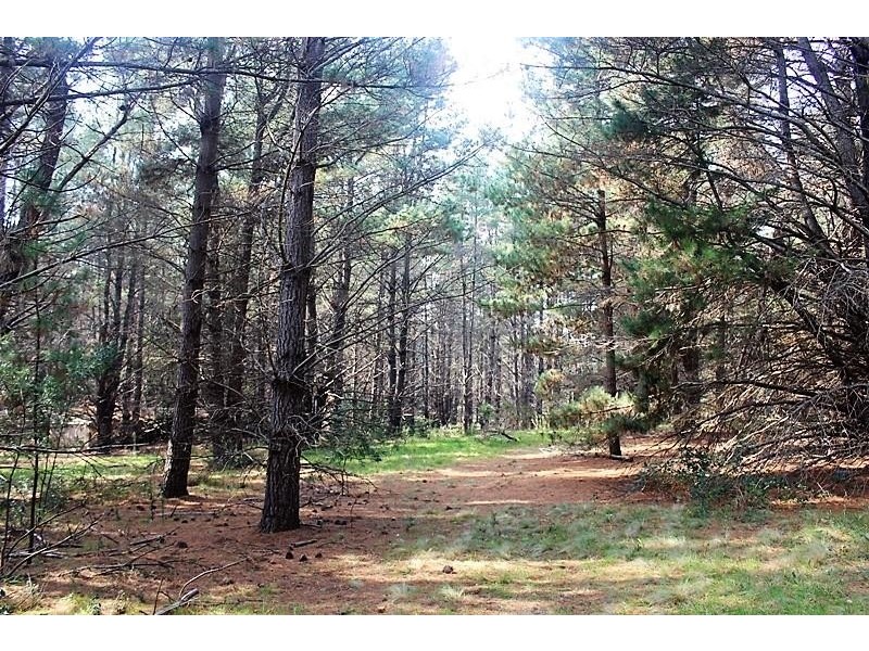 Lot 1 & 44/921 Penrose Road, Penrose NSW 2579