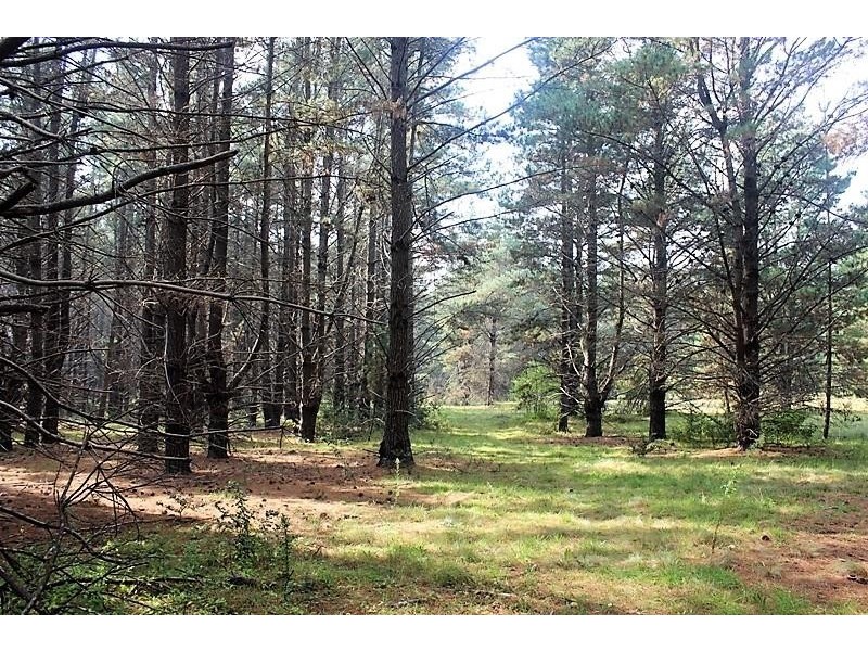 Lot 1 & 44/921 Penrose Road, Penrose NSW 2579